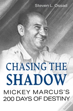 Capa do artigo Chasing The Shadow