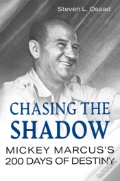 Capa do artigo Chasing The Shadow