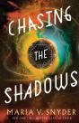 Chasing The Shadows - Preview