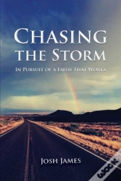 Capa do artigo Chasing The Storm