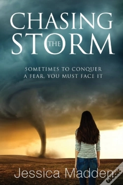 Capa do artigo Chasing The Storm