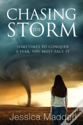 Chasing The Storm