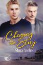 Chasing The Story - Preview