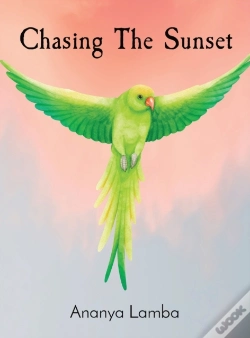 Capa do artigo Chasing The Sunset