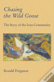 Capa do artigo Chasing The Wild Goose