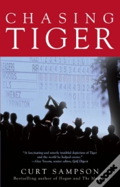 Capa do artigo Chasing Tiger
