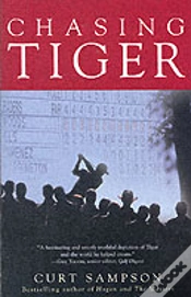 Capa do artigo Chasing Tiger