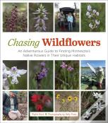 Chasing Wildflowers
