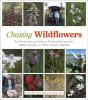 Chasing Wildflowers - Preview