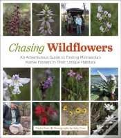 Capa do artigo Chasing Wildflowers