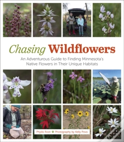 Capa do artigo Chasing Wildflowers