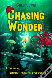 Capa do artigo Chasing Wonder