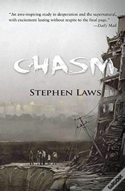 Capa do artigo Chasm