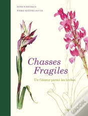 Capa do artigo Chasses Fragiles