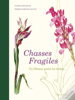 Capa do artigo Chasses Fragiles