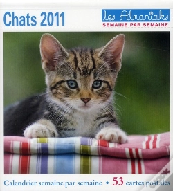 Capa do artigo Chat 2011