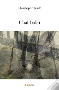 Capa do artigo Chat-Balai