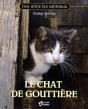 Chat De Goutiere - Preview