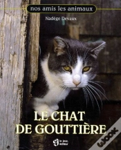 Capa do artigo Chat De Goutiere