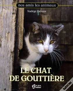 Capa do artigo Chat De Goutiere