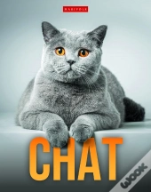 Chat