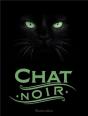 Chat Noir - Preview