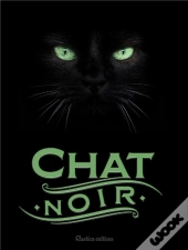 Chat Noir