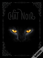 Chat Noir