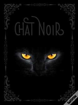 Capa do artigo Chat Noir
