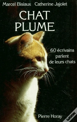 Capa do artigo Chat Plume