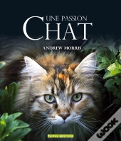 Chat ; Une Passion