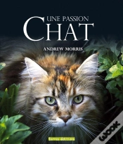 Capa do artigo Chat ; Une Passion