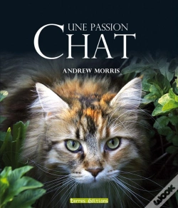 Capa do artigo Chat ; Une Passion