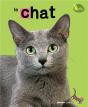 Chat - Preview