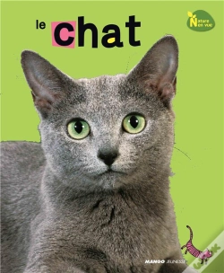 Capa do artigo Chat