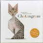 Chatangram - Preview