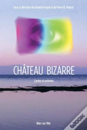 Capa do artigo Château Bizarre