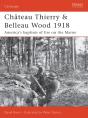 Chateau Thierry & Belleau Wood 1918 - Preview