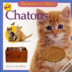 Capa do artigo Chatons