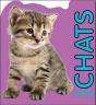 Chatons - Preview