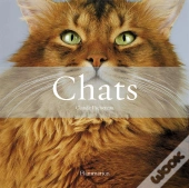 Chats
