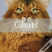 Capa do artigo Chats