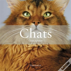 Capa do artigo Chats
