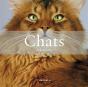 Chats - Preview