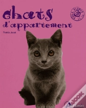 Chats D'Appartement