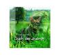 Chats Des Champs Chats Des Villes - Preview