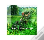 Chats Des Champs Chats Des Villes
