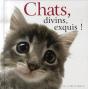 Chats Divins, Exquis ! - Preview