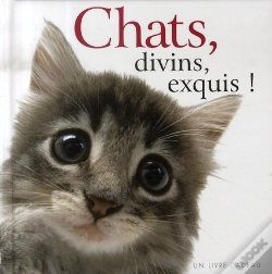 Capa do artigo Chats Divins, Exquis !