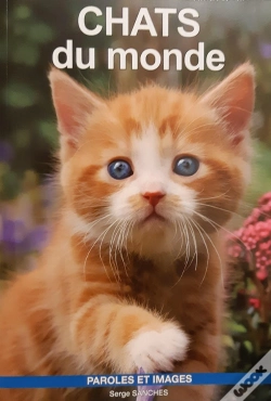 Capa do artigo Chats Du Monde
